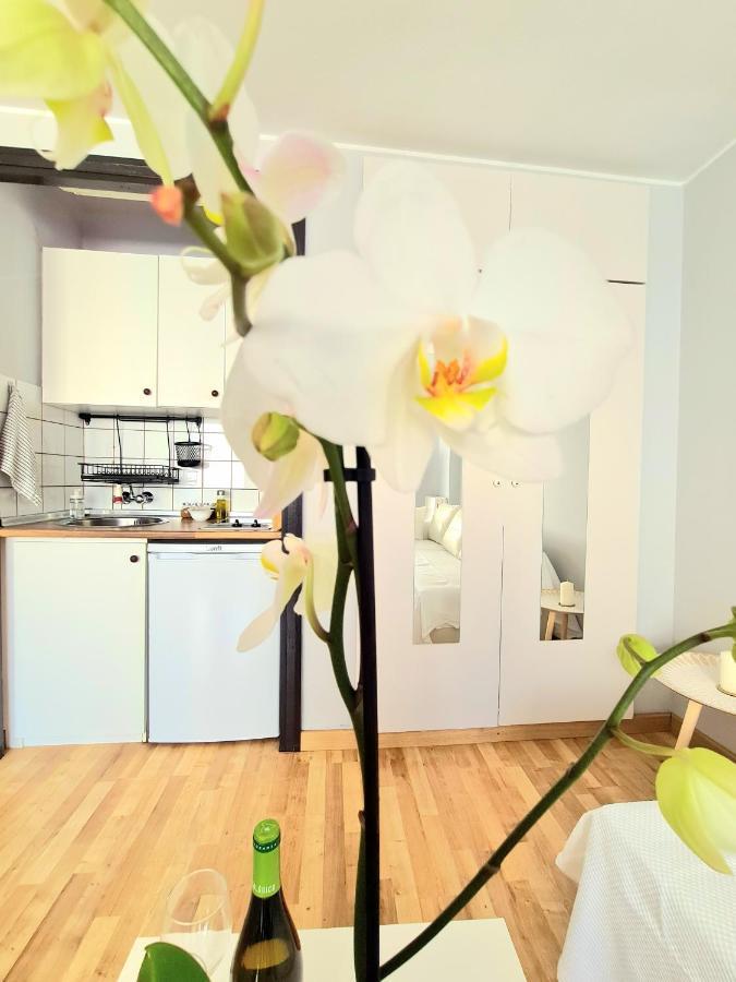 Aa Guest - El Mono De Torre Del Mar Eco Apartment 外观 照片