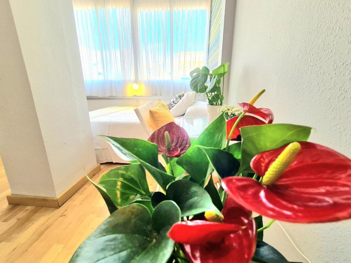 Aa Guest - El Mono De Torre Del Mar Eco Apartment 外观 照片